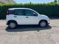 Fiat Panda 1.0 FireFly S&S Hybrid Pandina Bianco - thumbnail 4