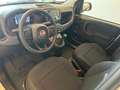 Fiat Panda 1.0 FireFly S&S Hybrid Pandina Bianco - thumbnail 8