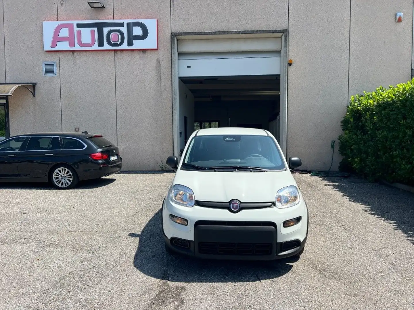Fiat Panda 1.0 FireFly S&S Hybrid Pandina Bianco - 2
