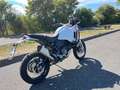 Ducati DesertX EZ 05.2023, 1. Hd., 6.914 km, Zubehör Weiß - thumbnail 5