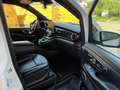 Mercedes-Benz V 300 V 300 d lang 4Matic 9G-TRONIC Exclusive Edition White - thumbnail 12