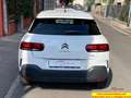 Citroen C4 Cactus PureTech 110 S&S EAT6 Shine Bianco - thumbnail 6