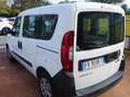 Fiat Doblo Doblo 1.3 mjt 16v 95cv "SOLO 26.000 KM" Blanc - thumbnail 6