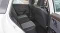 Nissan X-Trail 1.5 HEV E-POWER 204 ACENTA 204 5P Blanco - thumbnail 19