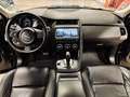 Jaguar E-Pace 2.0D 150 CV AWD SERVICE JAGUAR - PELLE TOT Gris - thumbnail 8