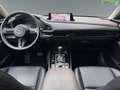 Mazda CX-30 2.0l Exclusive Line Head-UP*PDC*LED*Bose Blau - thumbnail 11