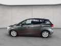 Ford C-Max 2.0 TDCi Start-Stop-System Titanium Silber - thumbnail 2