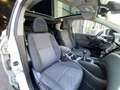 Nissan Qashqai 1.5dCi 360 4x2 Weiß - thumbnail 16
