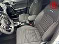 Kia Ceed / cee'd GT Line 1.5 T-GDI Totwinkelassistent PDCv+h JBL So Weiß - thumbnail 14