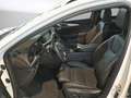 Opel Insignia 2.0D Ultimate automaat Wit - thumbnail 12