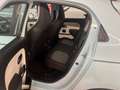 Renault Twingo UICOPROPRIETARIO - NEOPATENTATI - OCCASIONE plava - thumbnail 9