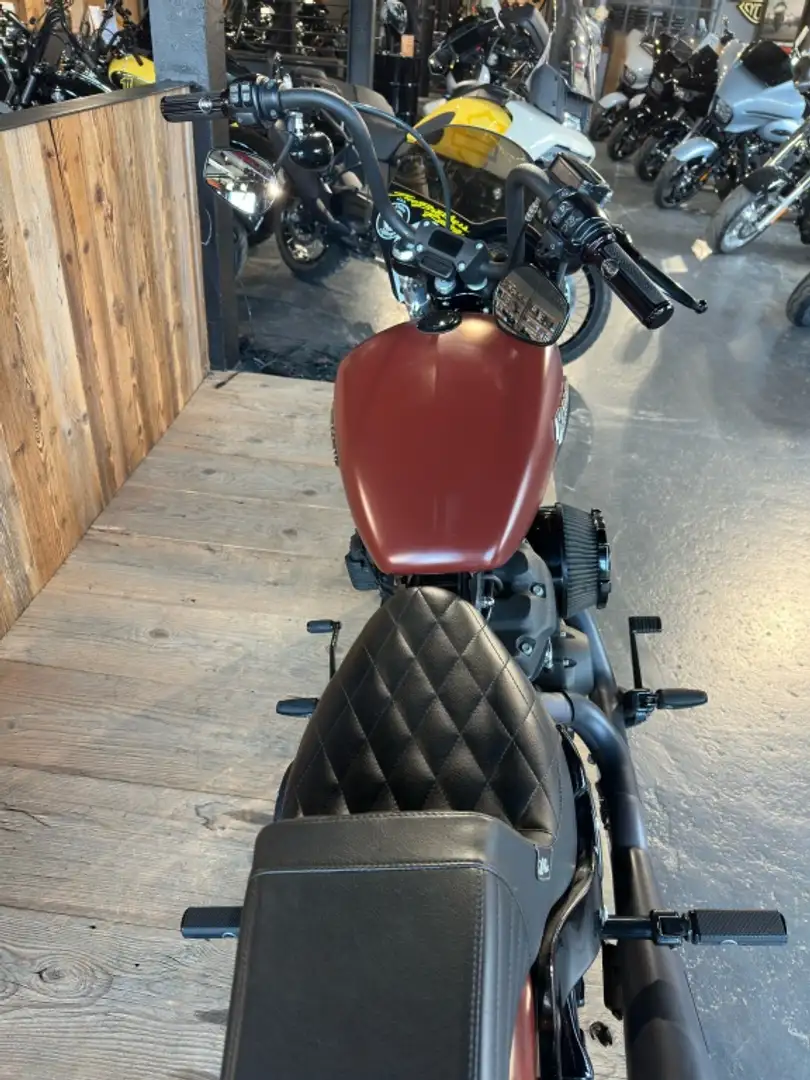 Harley-Davidson Street Bob 107 SOFTAIL Bruin - 1