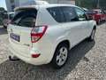 Toyota RAV 4 Executive 2.2 D 4X4 LEDER KLIMA KAMERA AHK Weiß - thumbnail 5