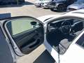 Skoda Octavia Combi 2,0 TDI Business Weiß - thumbnail 29