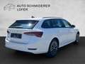 Skoda Octavia Combi 2,0 TDI Business Weiß - thumbnail 5