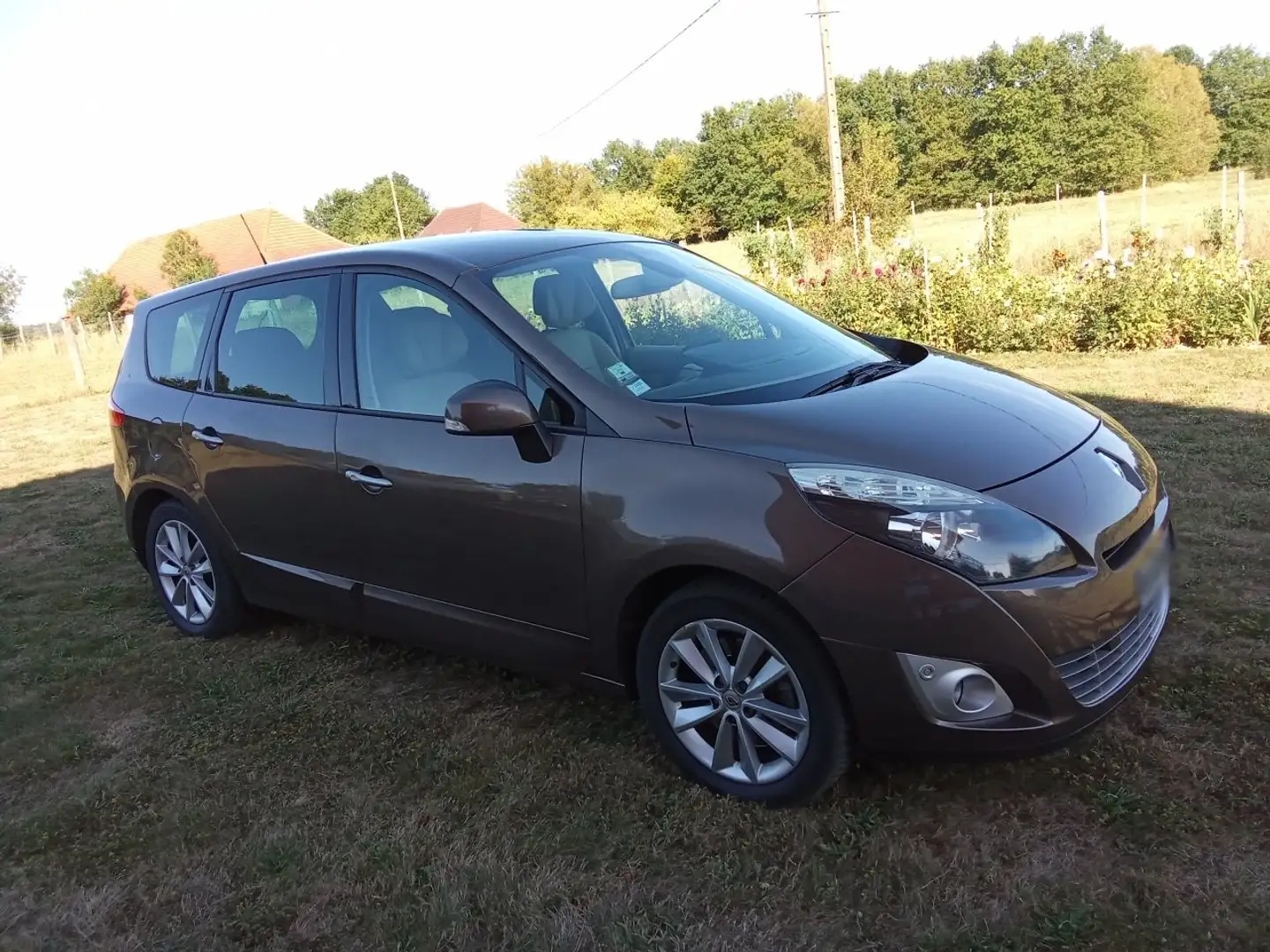 Renault Grand Scenic Grand Scénic III dCi 160 FAPPrivilège 5 pl Brun - 1