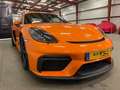 Porsche 718 GT4 Boite PDK Sieges baquets / Orange Pastel (PTS) Orange - thumbnail 5