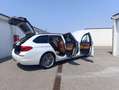 BMW 520 520 d Sport Line Weiß - thumbnail 16