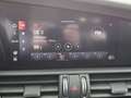 Alfa Romeo Giulia 2.2 JTDM Sprint Aut XENON SKY RADAR NAVI Grau - thumbnail 15