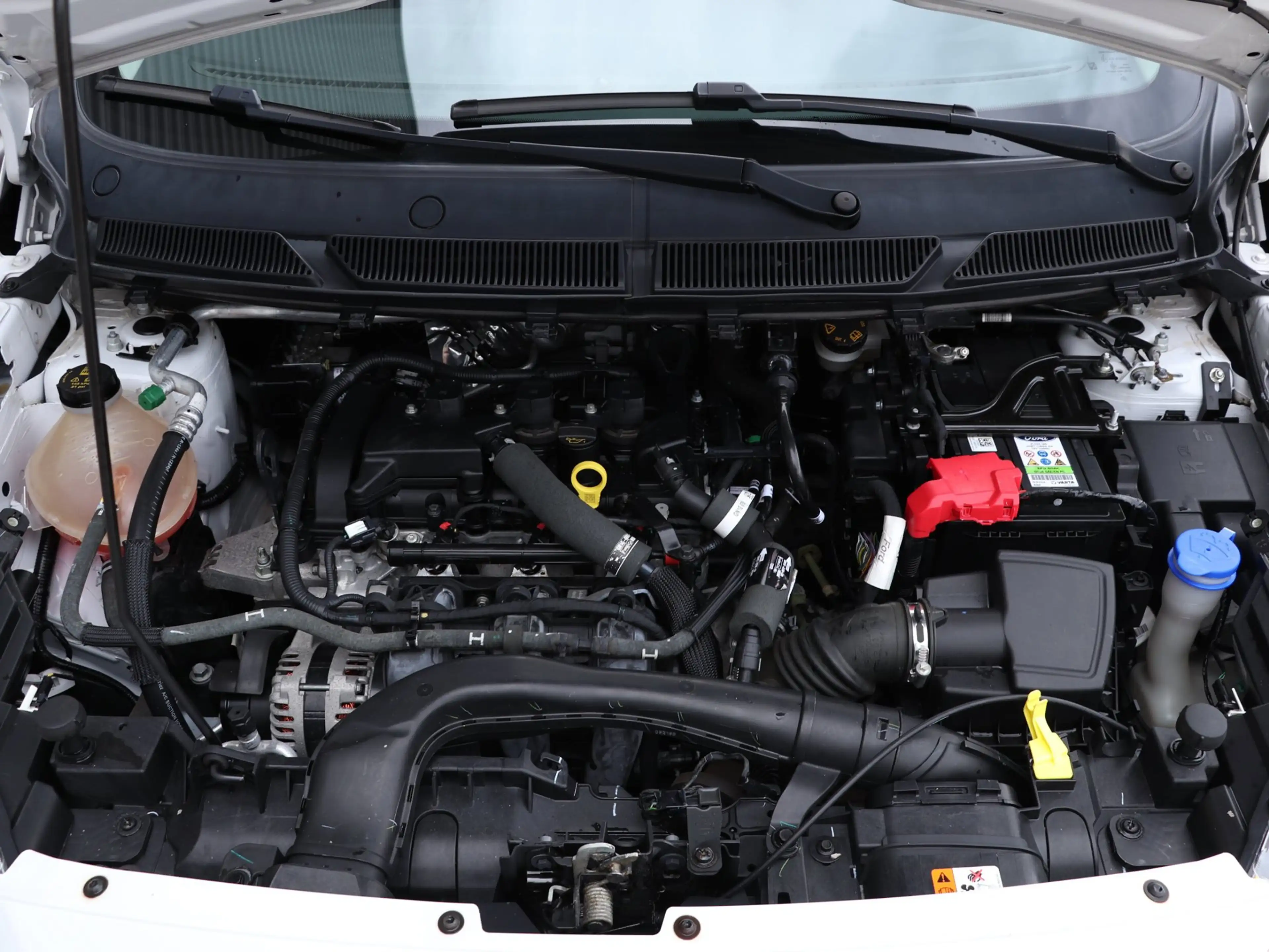 Ford Ka/Ka+ 1.2 Trend Ultimate *Klimaatreg.*Stoelverw.*Parkeer — photo 13
