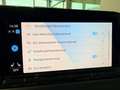 Volkswagen Golf VIII Life 1.0 TSI AHK LED Navi Klima ACC PDC Rood - thumbnail 15
