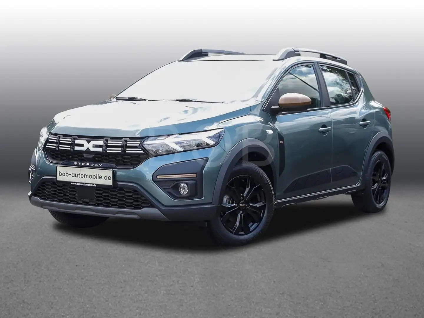 Dacia Sandero Stepway Extreme 100 NAVI SHZ KLIMA BT LM Verde - 1