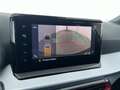 SEAT Ibiza FR-Line 1.0 TSI*NAVI*SHZ*RFK*uvm Weiß - thumbnail 17
