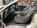 BMW 435 i Cabrio-M PAKET-LED-KAMERA-AIRSCARF-HUD-Dt.F Blanc - thumbnail 12
