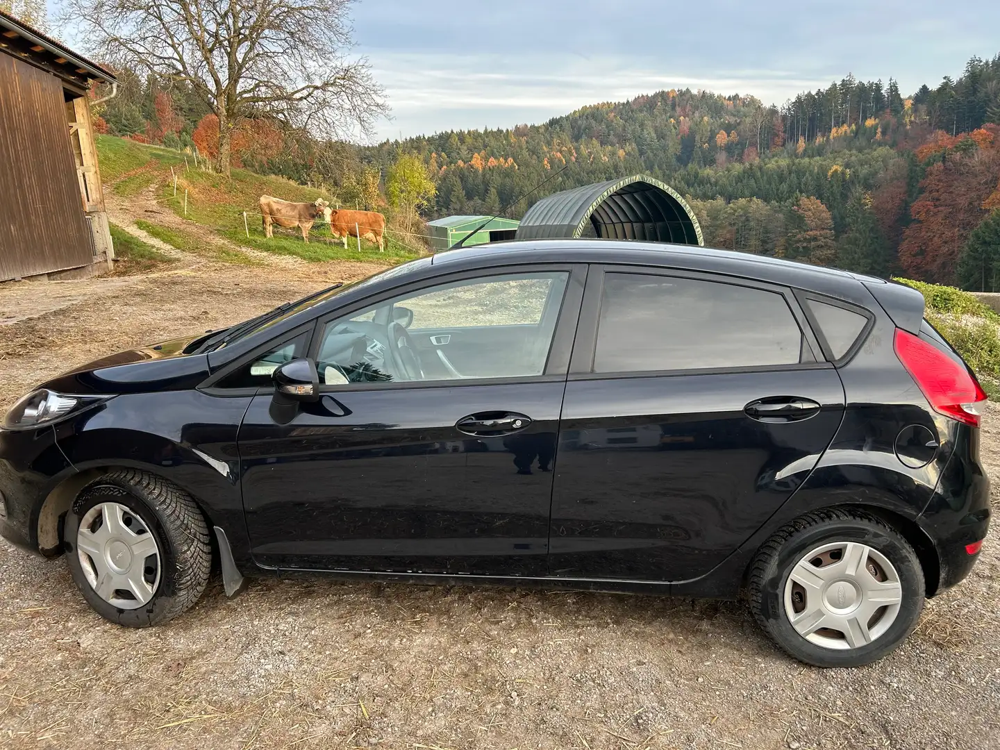 Ford Fiesta Fiesta 5T Trend 1,25 Trend Schwarz - 1