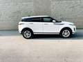 Land Rover Range Rover Evoque Range Rover Evoque 2.0D I4-L.Flw 150 CV AWD Auto Bianco - thumbnail 6