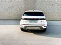 Land Rover Range Rover Evoque Range Rover Evoque 2.0D I4-L.Flw 150 CV AWD Auto Bianco - thumbnail 7