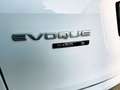 Land Rover Range Rover Evoque Range Rover Evoque 2.0D I4-L.Flw 150 CV AWD Auto Bianco - thumbnail 14