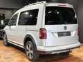 Volkswagen Caddy ALLTRACK 4MOTION 5-SI SEIKEL AHK SCHALTER 1.HAND/B Zilver - thumbnail 6