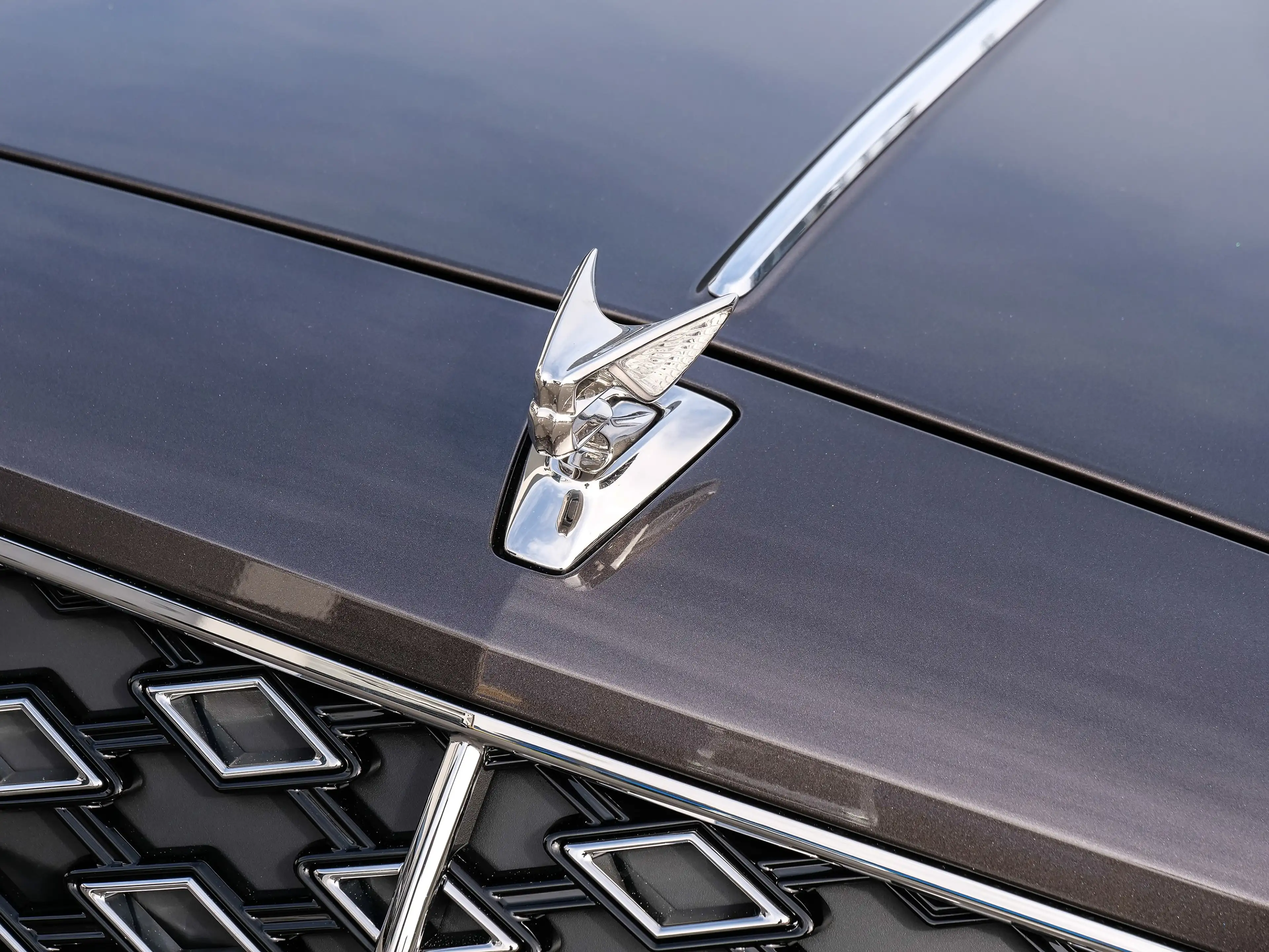 Bentley Flying Spur Mulliner Brodgar over Pale Brodgar — photo 10