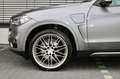 BMW X5 Baureihe X5 xDrive 40 e /M-PAKET/PANO/360°K/H Gris - thumbnail 7