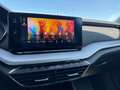 Skoda Octavia Combi 2,0 TDI 4x4 Style DSG | AHK Schwarz - thumbnail 24