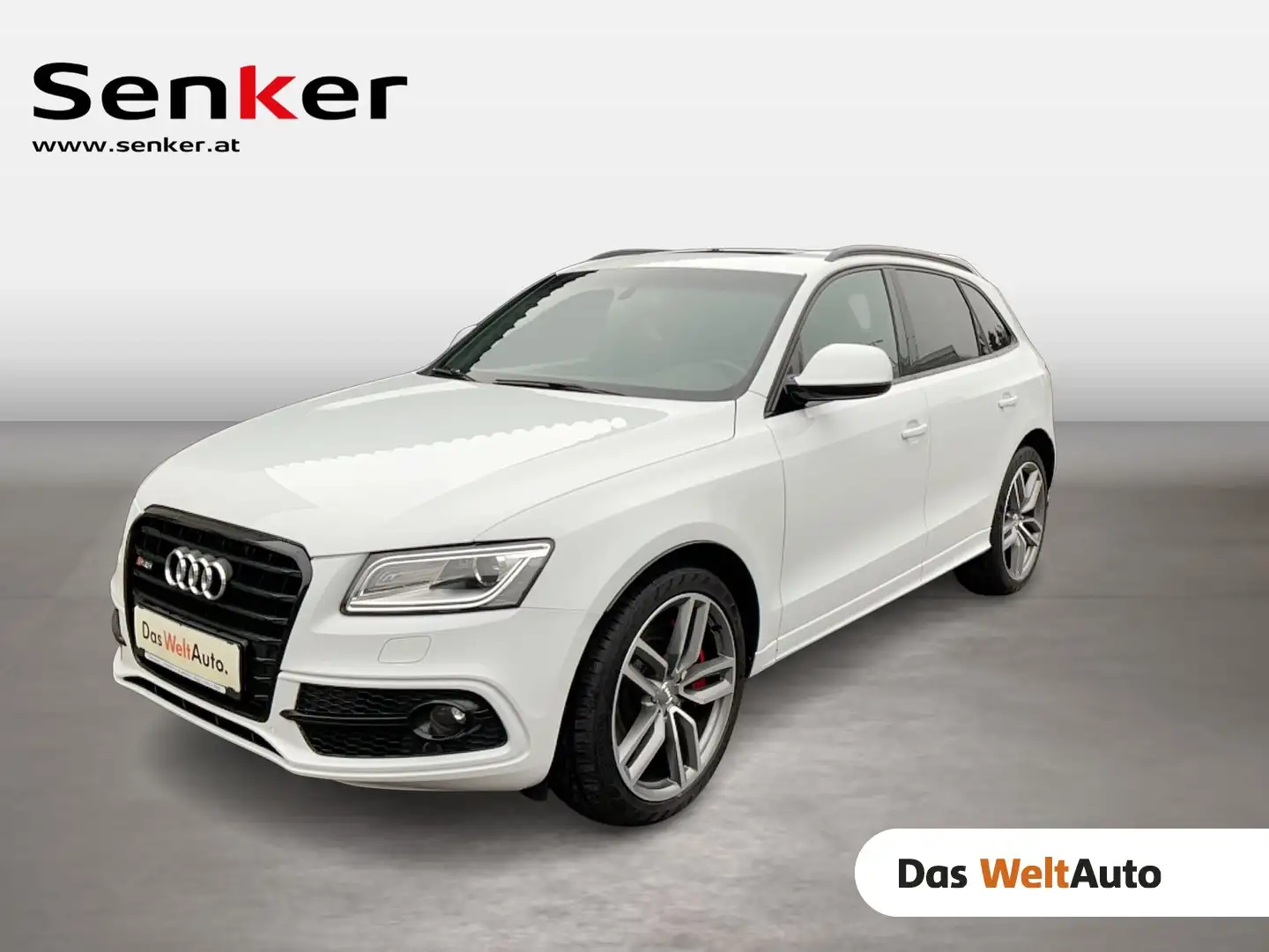 Audi SQ5 TDI Weiß - 1