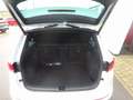 SEAT Ateca Ateca 2.0 TSI 4Drive FR DSG 190PS AHK Navi ACC el. Blanc - thumbnail 5