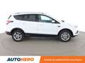 Ford Kuga 2.0 TDCi Titanium 4x2 Blanc - thumbnail 7