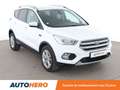 Ford Kuga 2.0 TDCi Titanium 4x2 Blanc - thumbnail 8