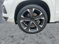 CUPRA Ateca 2.0TSI DSG 4x4 LED+ACC+DCC+NAV+SHZ+RFK+19" Weiß - thumbnail 8