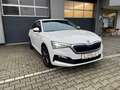 Skoda Scala Clever Weiß - thumbnail 2