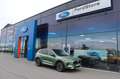 Ford Kuga Active FHEV NEUES MODELL 2,5l Duratec 4x4 Grün - thumbnail 2