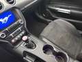 Ford Mustang GT Fastback Facelift *SHELBY COBRA Umbau*Mega V8 Schwarz - thumbnail 31