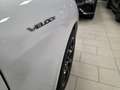 Alfa Romeo Stelvio 2.2 t Veloce Q4 210cv auto prezzo reaale Blanc - thumbnail 15