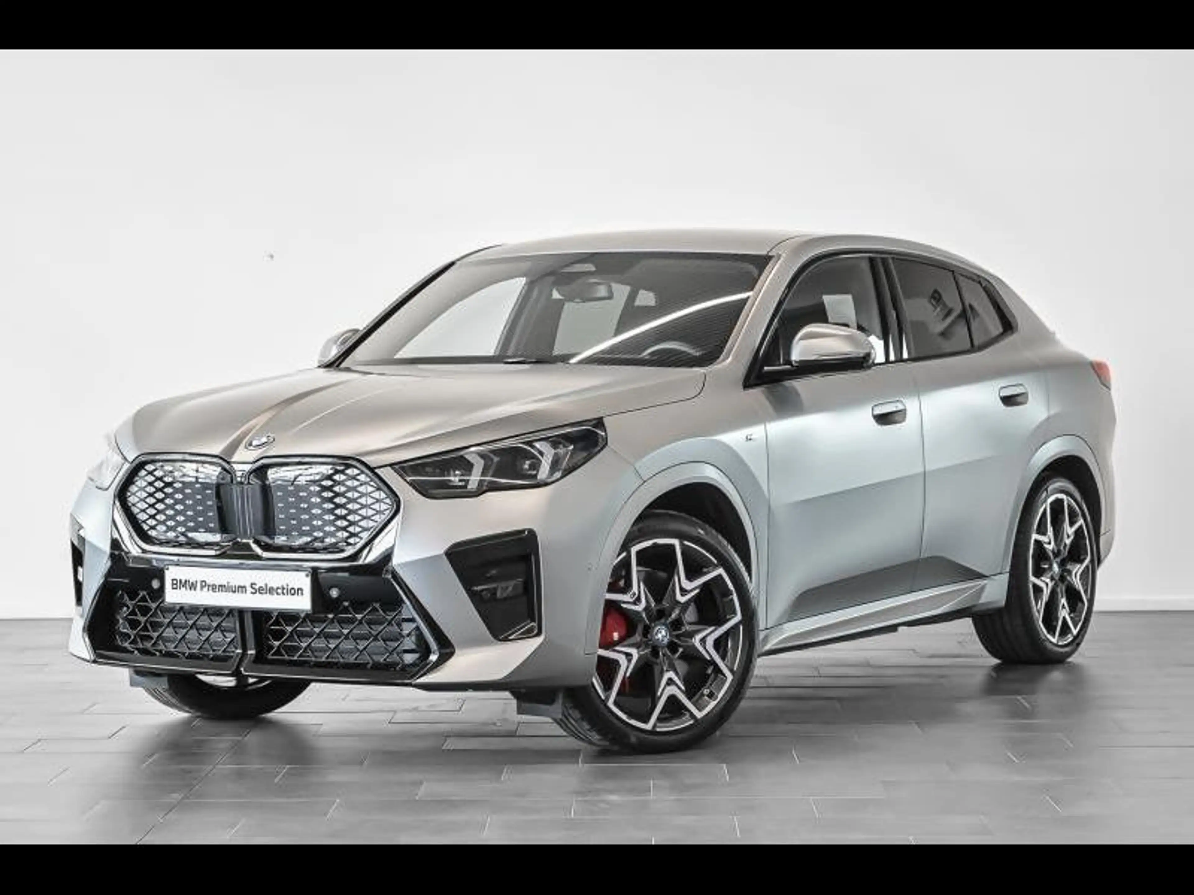 BMW iX2 xDrive30/M-Sport Pro/Frozen Pure Grey