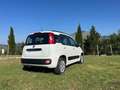 Fiat Panda Panda 1.2 Easy s Bianco - thumbnail 7