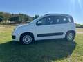 Fiat Panda Panda 1.2 Easy s Bianco - thumbnail 9