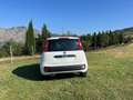 Fiat Panda Panda 1.2 Easy s Bianco - thumbnail 8