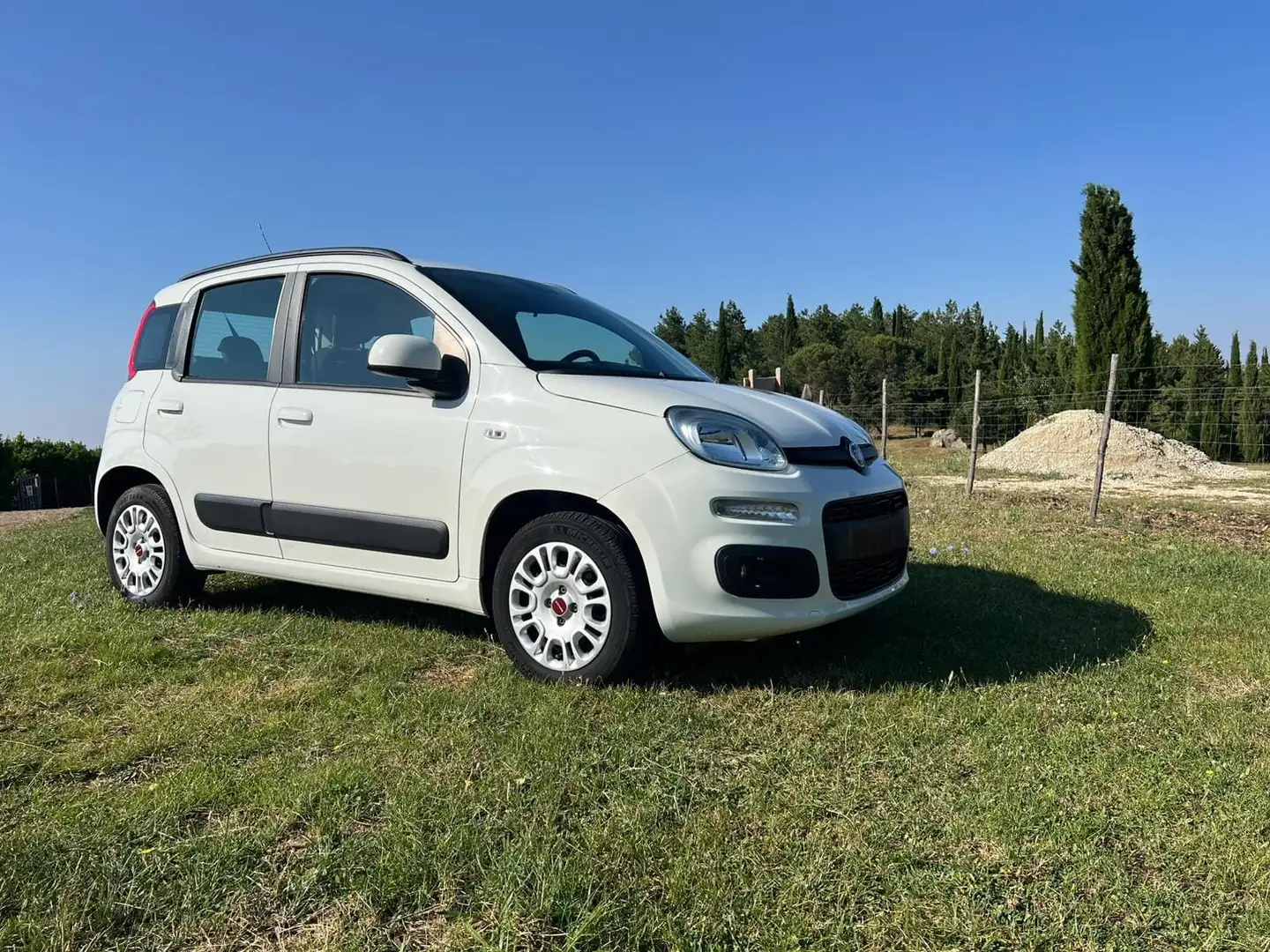 Fiat Panda Panda 1.2 Easy s Bianco - 1
